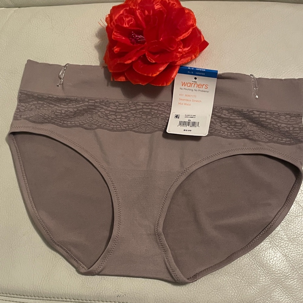 Warner's Taupe Lace-Trim Hipster Underwear  - Size XL